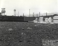 Nichols Boat Basin, 1993