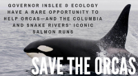 Save the Orcas meme
