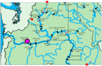 Map of the Columbia River Basin. Purple oval shows the mouth of the Little White Salmon River. Red stars show major sockeye spawning areas. Black dashes show large hydroelectric dams.    