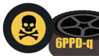 Image of Skull and Crossbones and a tire labeled with the letters "6PPD-q" chemical