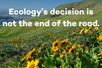 fields in Goldendale, WA. yellow balsamroot flowers in the right corner. Text on screen says Ecology’s decision is not the end of the road.