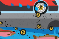 stopping pollution salmon and cars illustration 