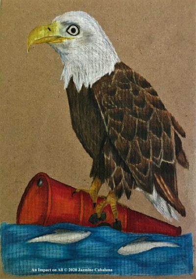 Eagle By :Jazmine Cabaluna 