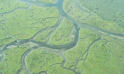 braided wetland