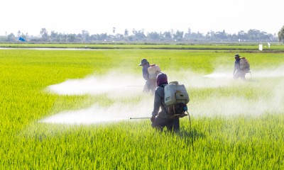 Pesticides Beyond Toxics
