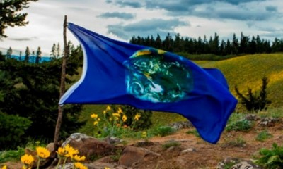 Earth flag waving in front of view of grassy and forested hill
