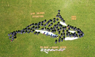 Arial image of people holding black umbrellas standing in the shape of an orca