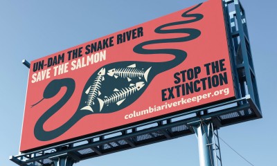 Grapevine Outdoor, an advertising company based in Portland, co-sponsored a “Free the Snake” billboard campaign in downtown Portland, in collaboration with 1% for the Planet. Billboard art by Eric Doctor.