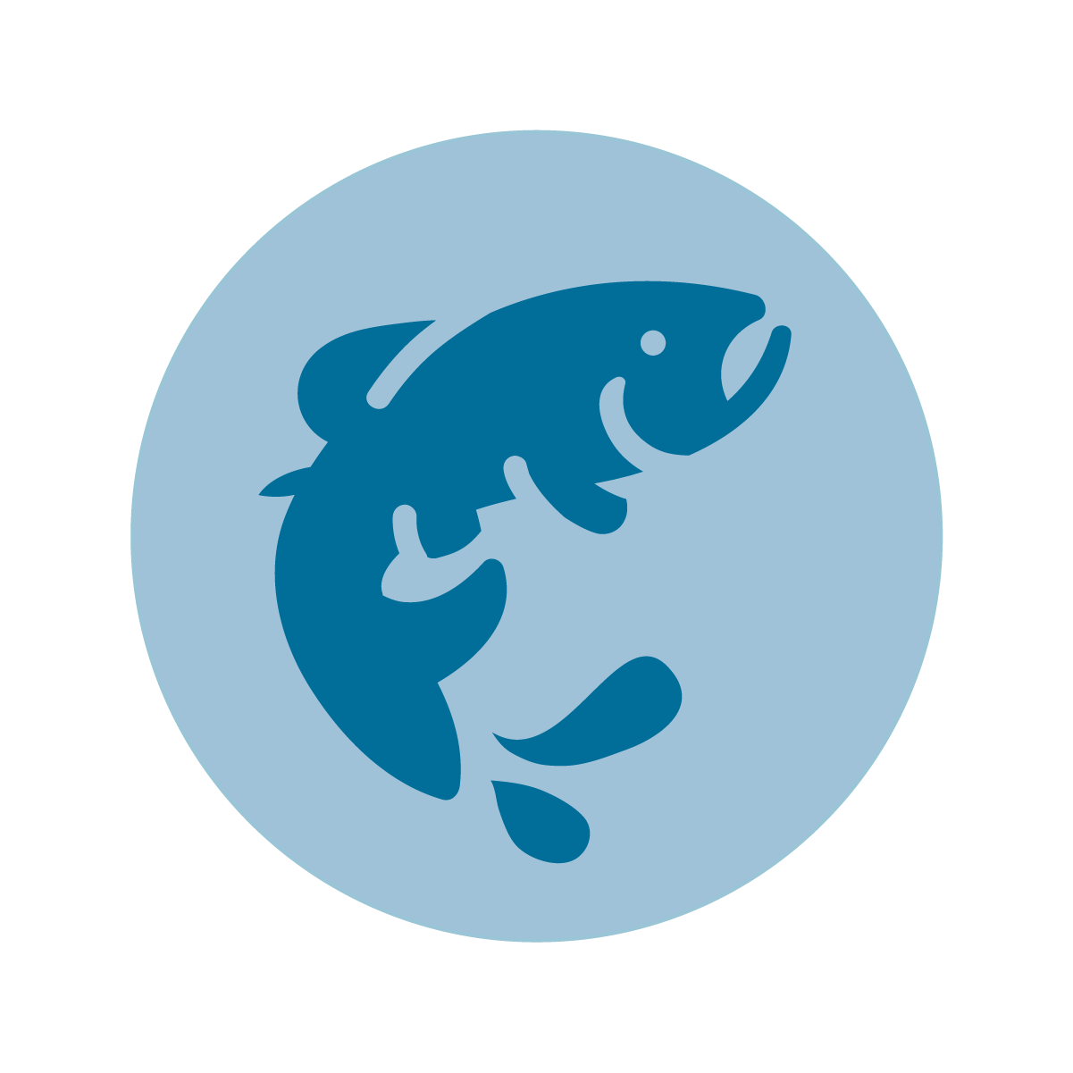 salmon icon